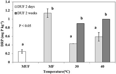 Microbial Biomass Responses to Soil Drying-Rewetting and Phosphorus Leaching